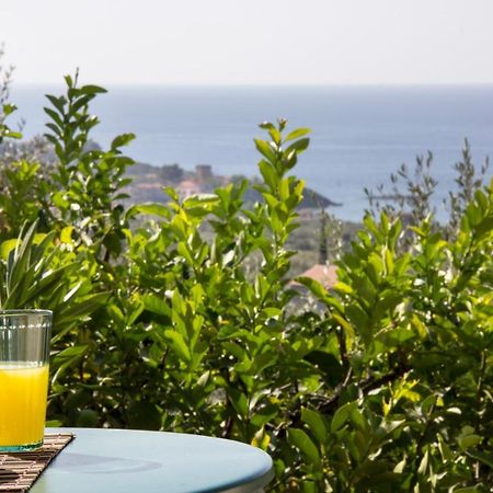 Orfea'S Place Riglia Экстерьер фото